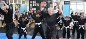 Little Ninja Classes